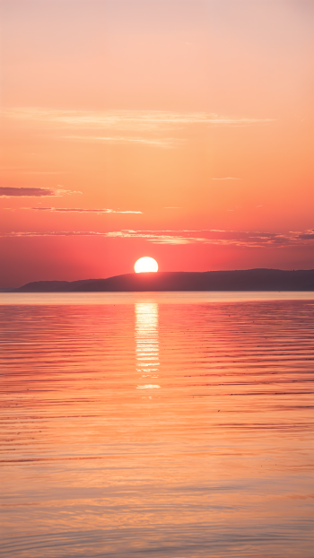 Vertical iPhone wallpaper of a pink-orange sunrise over calm water, the sun touching a distant horizon with a glowing reflection on the rippled sea.