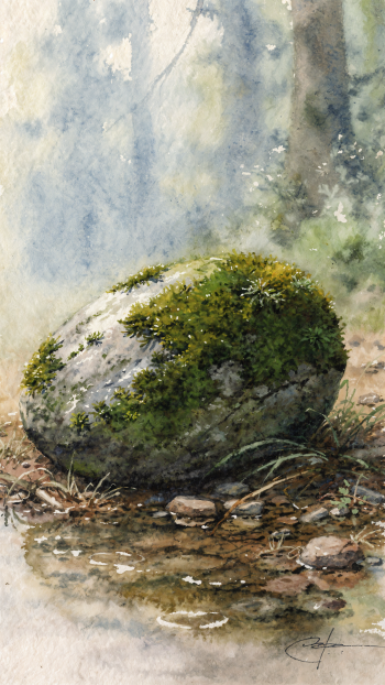 Vertical iPhone wallpaper of a moss-covered stone beside a shallow woodland stream, misty trees and soft dappled light in the background.