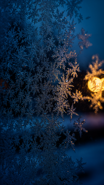 iPhone wallpaper showing intricate frost patterns on a window in cool blue tones, with a warm golden bokeh light glowing in the blurred background.