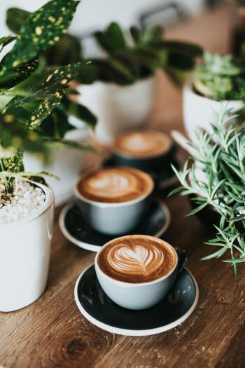 Espresso Fall iPhone wallpaper: cozy close-up of three coffee lattes with heart latte art in cups on a wooden table, framed by green potted plants.