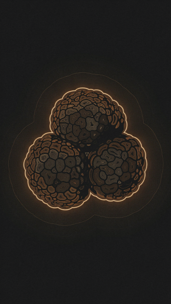 iPhone wallpaper featuring three stylized truffles (mushrooms) with maze-like textured caps and glowing golden outlines against a dark background.