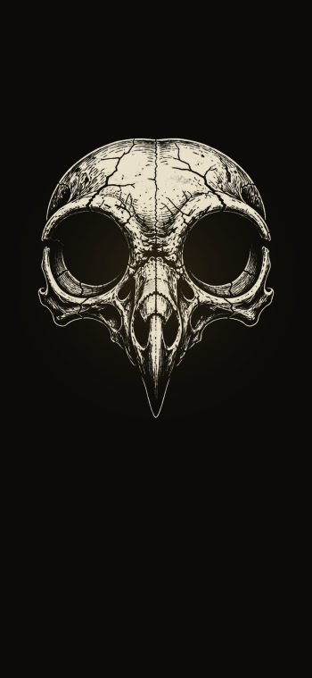 Black-and-white ink illustration of an owl skull on a dark background, designed as an iPhone wallpaper.