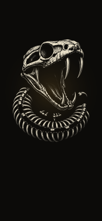Black and white ink illustration of a coiled snake skeleton with an open skull and fangs on a dark iPhone wallpaper.