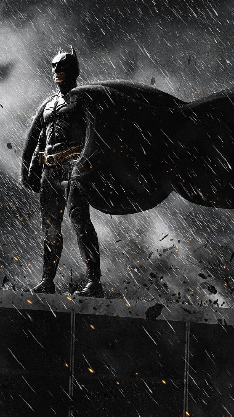 The Dark Knight Rises instal the last version for android