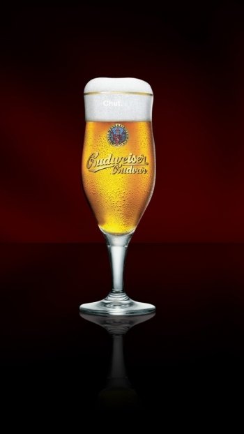 drink beer man made budweiser Phone Wallpaper