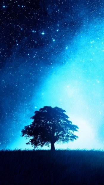 nature tree Phone Wallpaper