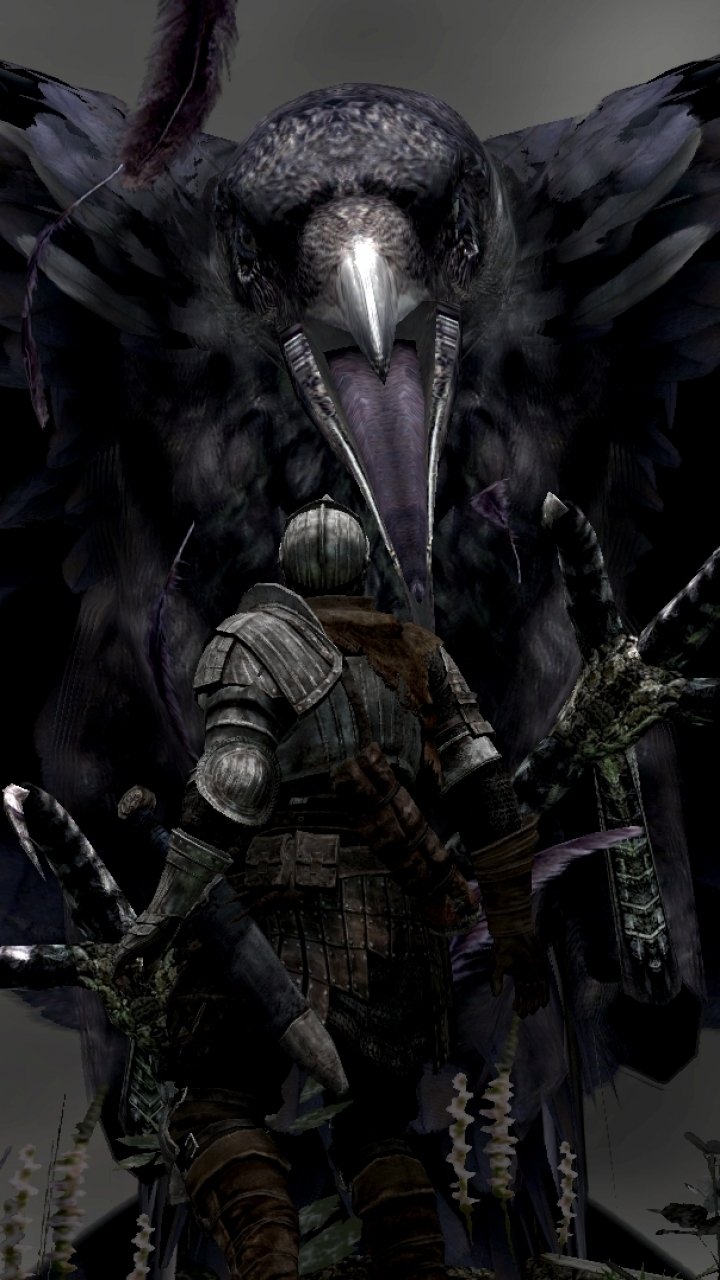 Video Game Dark Souls (720x1280) Phone Wallpaper. 