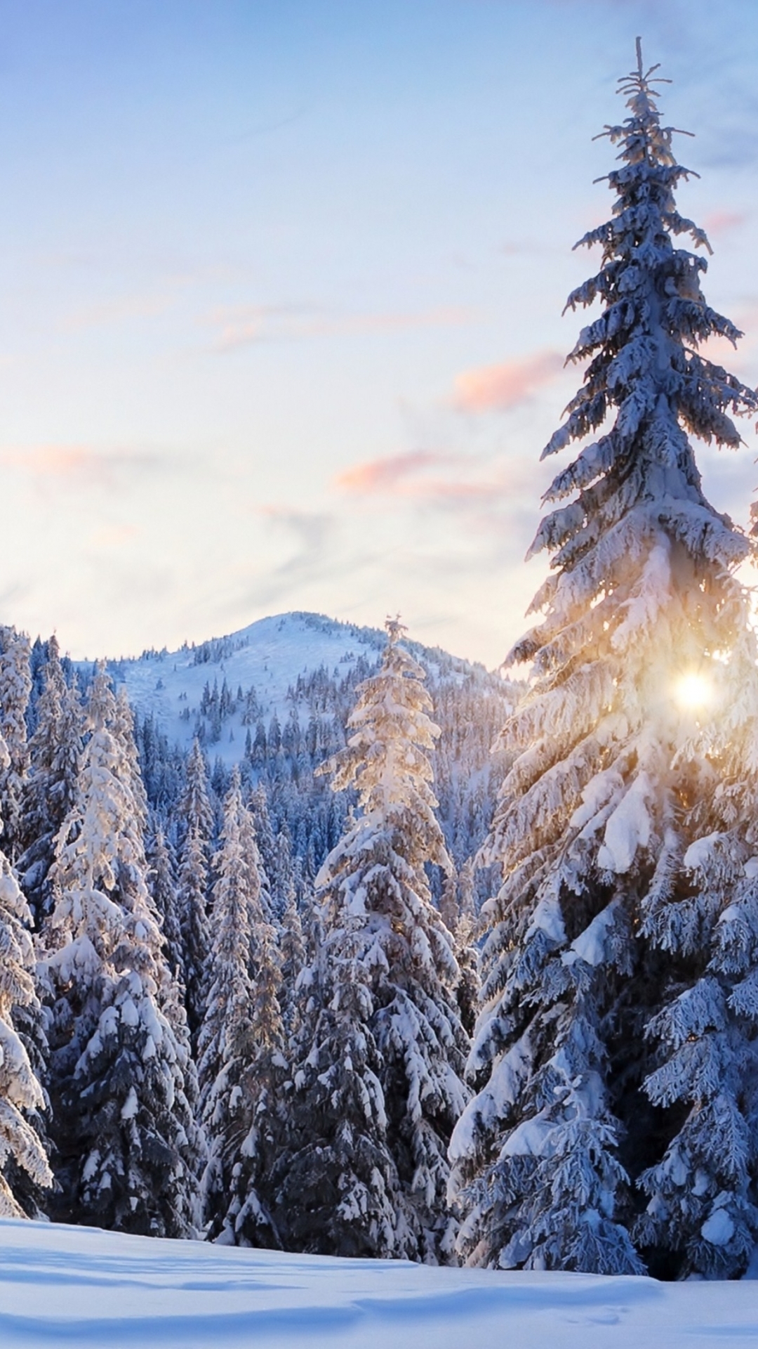 Winter Wallpapers  Top 30 Best Winter Backgrounds Download