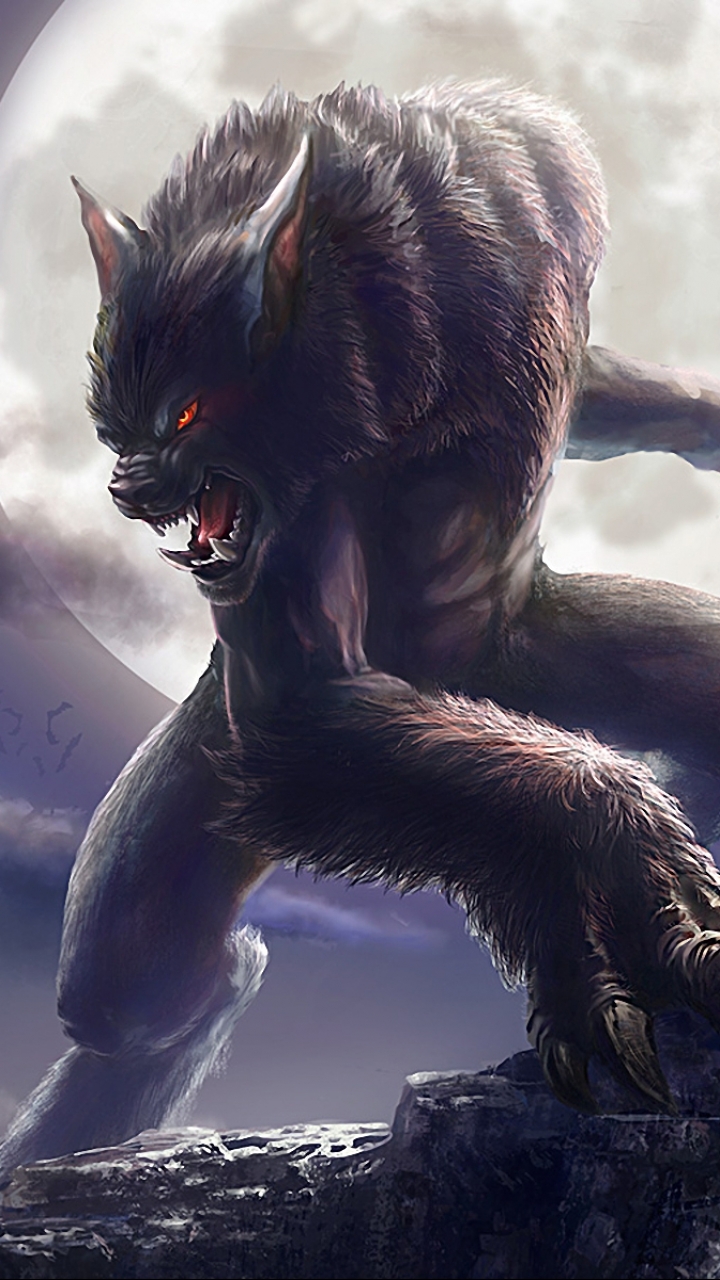 Wallpaper Northern lights howl werewolf images for desktop section  фантастика  download