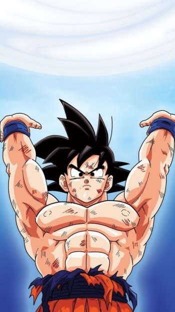 Anime Dragon Ball Z Phone Wallpaper