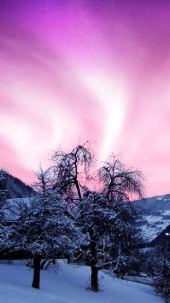 tree mountain sky night light aurora borealis photography winter winter night Phone Wallpaper