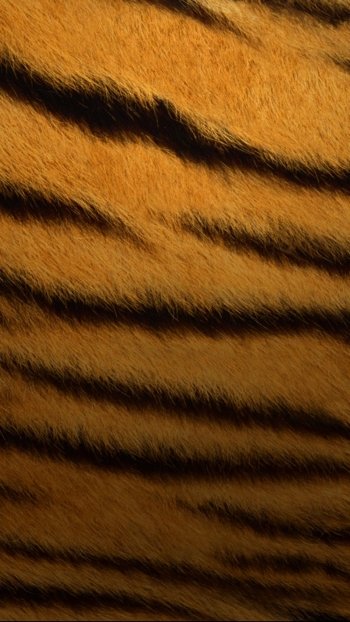 fur Abstract texture Phone Wallpaper