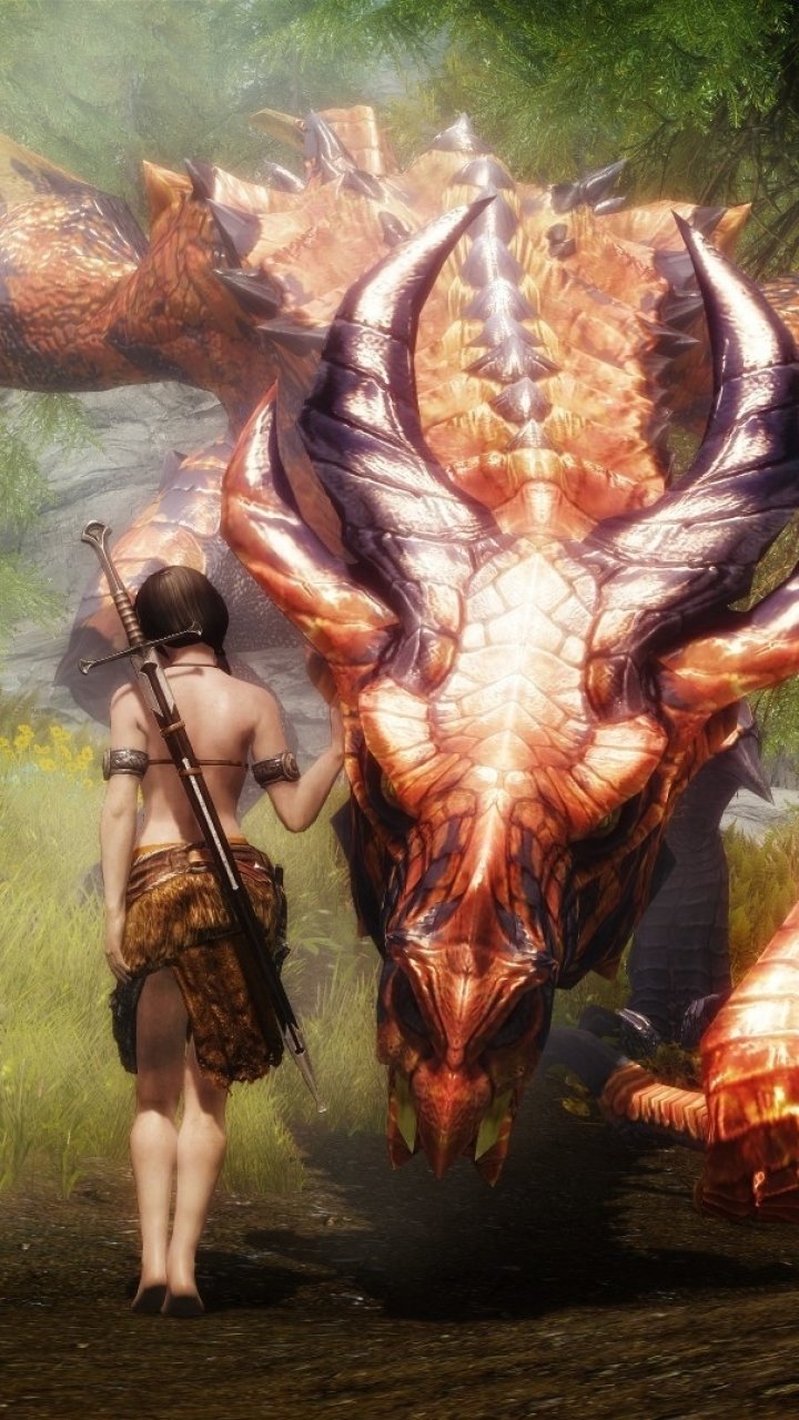 Download Video Game The Elder Scrolls V: Skyrim Phone Wallpaper