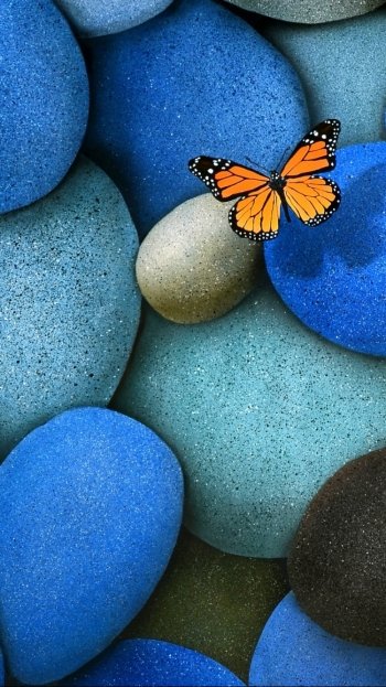 stone Animal butterfly Phone Wallpaper