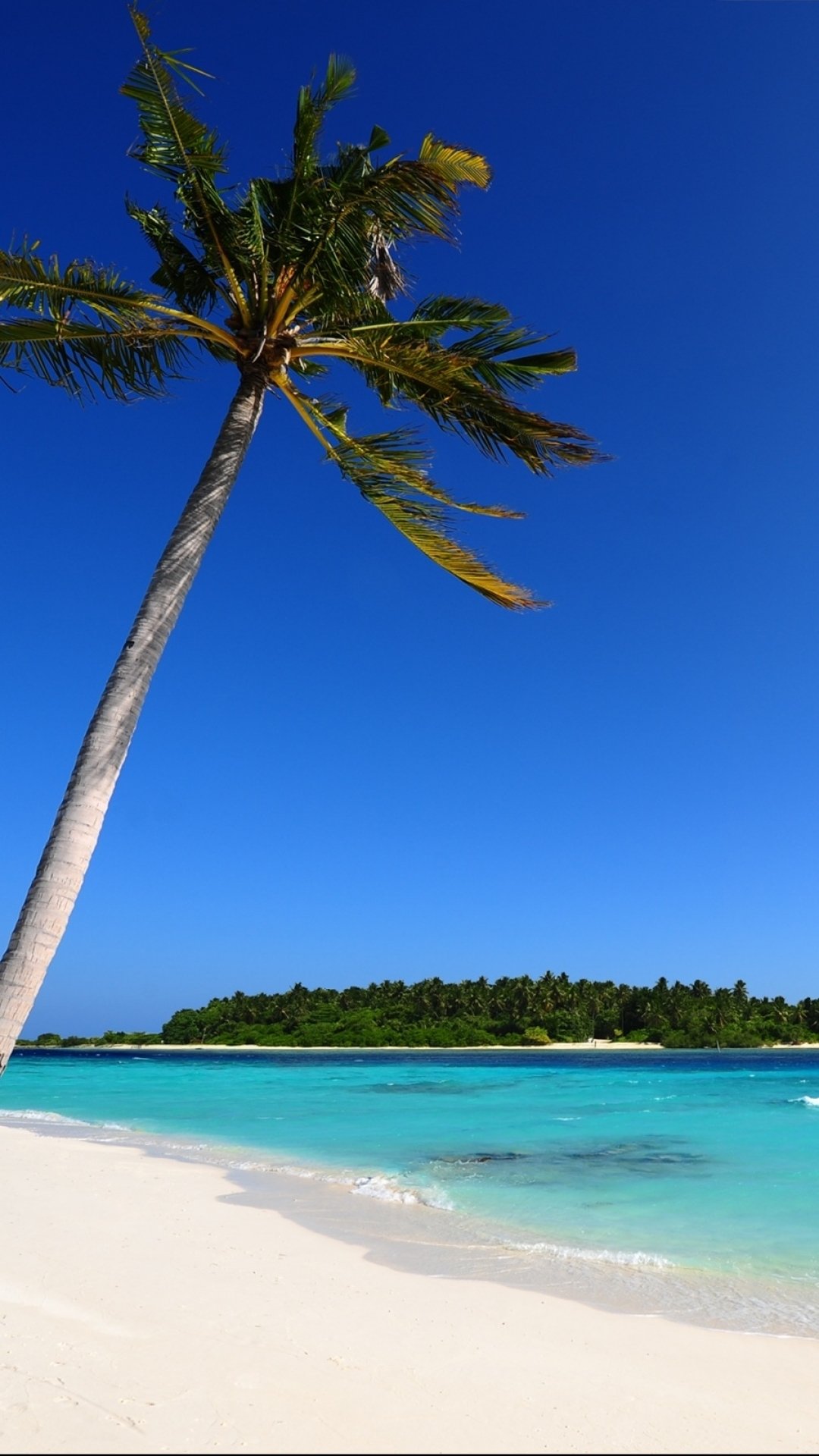 Download Sand Tropical Palm Tree Island Maldives Blue Ocean Sky Nature Beach Phone Wallpaper