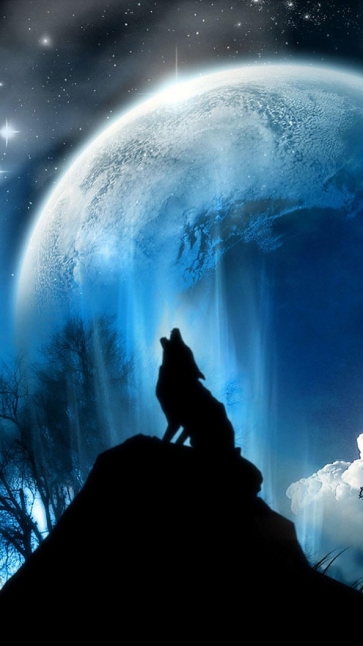 Supreme Wolf wallpaper by ADiaZedg3 - Download on ZEDGE™