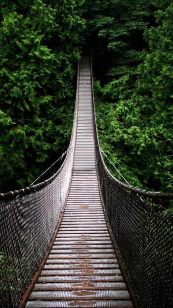 forest man made bridge Phone Wallpaper