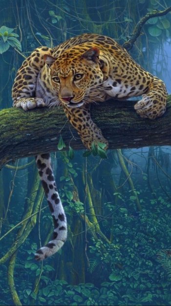 fog rainforest jungle branch Animal leopard Phone Wallpaper