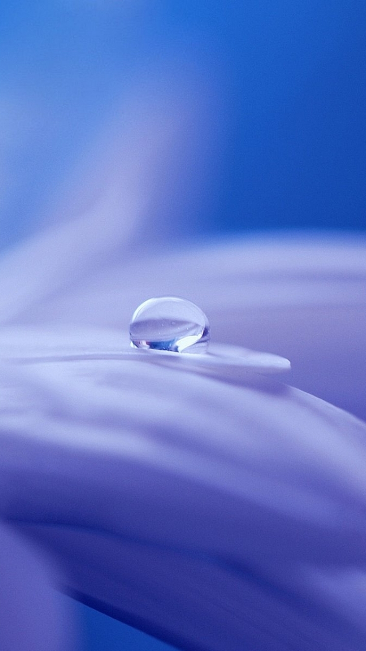 Close Up Of A Water Drop by Soorelis