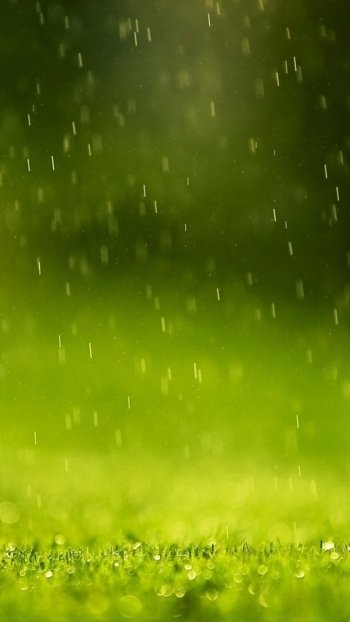 photography rain Phone Wallpaper