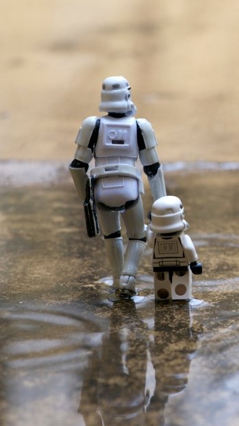  Like clone father, like clone son