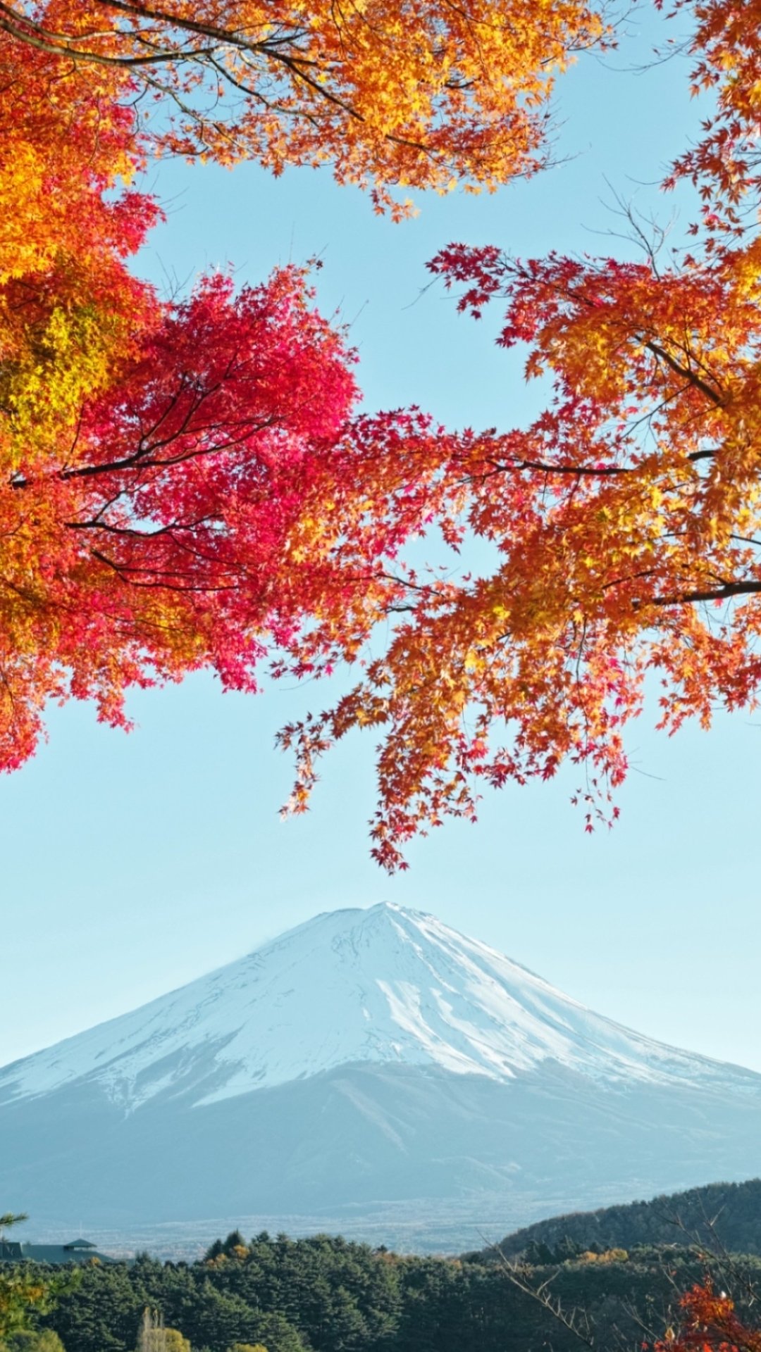Download Japan Fujiyama Nature Mount Fuji Phone Wallpaper