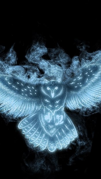  Owl Patronus by Tribalchick101 ( Amanda )