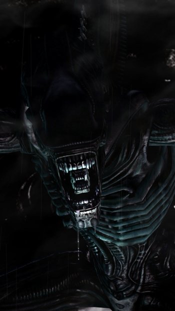  Xenomorph Warrior