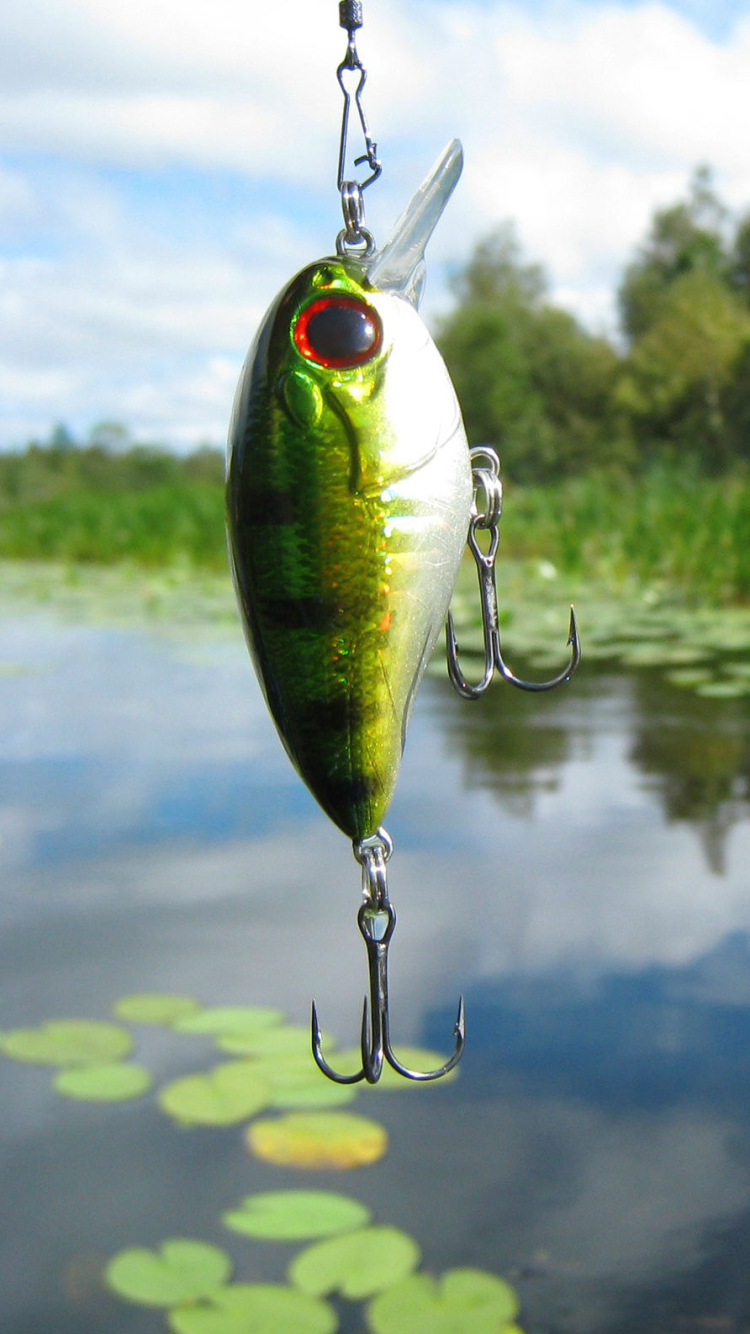 FishingTheMidWest bass fish fishing outdoor trout water HD phone  wallpaper  Peakpx