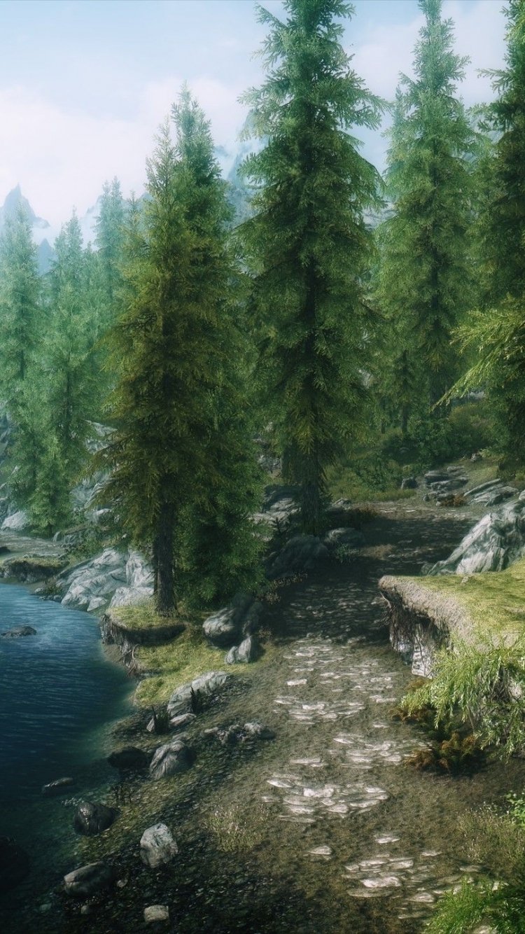 Scenic phone wallpaper from The Elder Scrolls V: Skyrim showing a forest path beside a river with tall pine trees and rocky terrain under a clear sky.