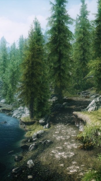 Scenic phone wallpaper from The Elder Scrolls V: Skyrim showing a forest path beside a river with tall pine trees and rocky terrain under a clear sky.