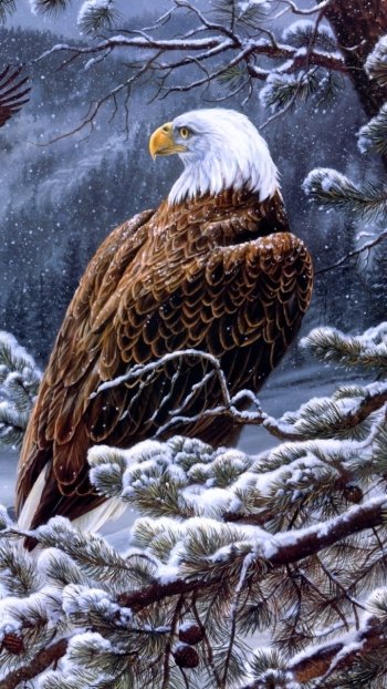 winter eagle painting bird Animal bald eagle Phone Wallpaper