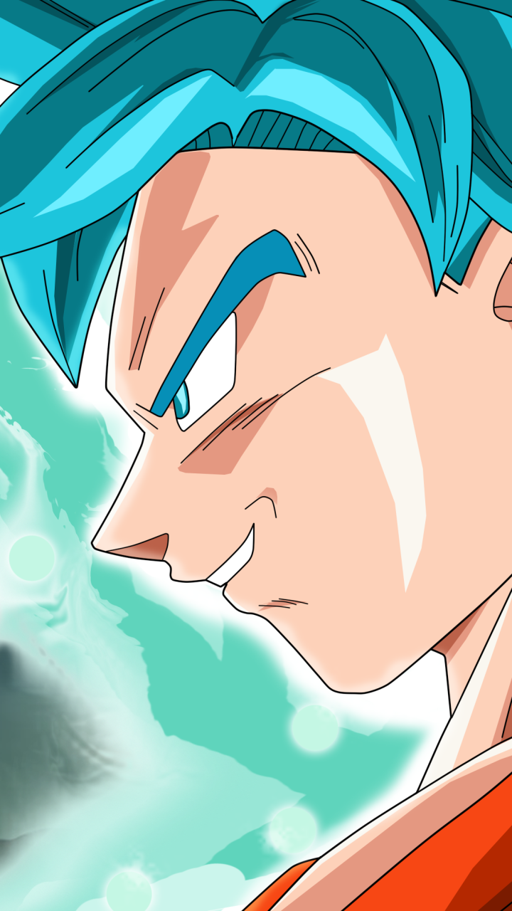 Goku (SSJ God SSJ) and Vegeta by SaoDVD