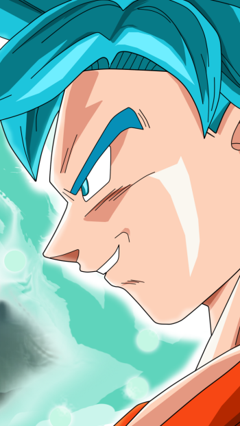  Goku (SSJ God SSJ) and Vegeta by SaoDVD