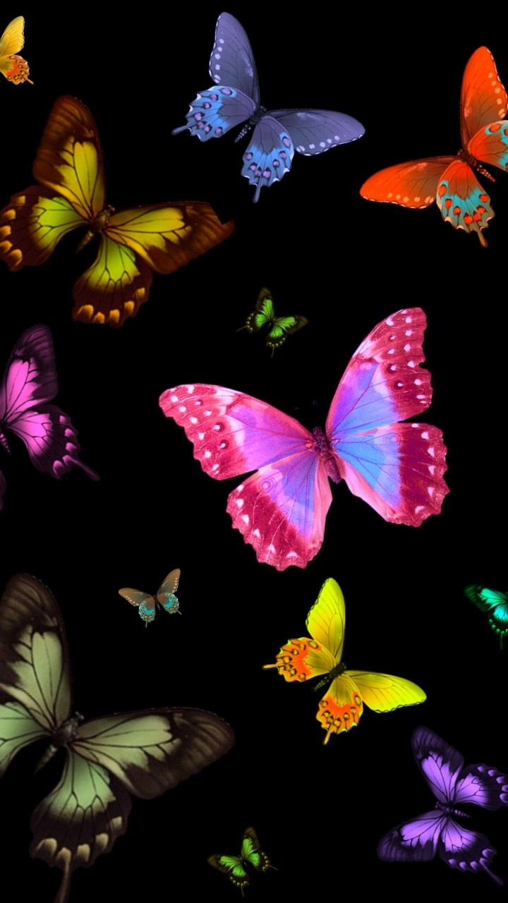 Colorful Butterflies - Mobile Abyss
