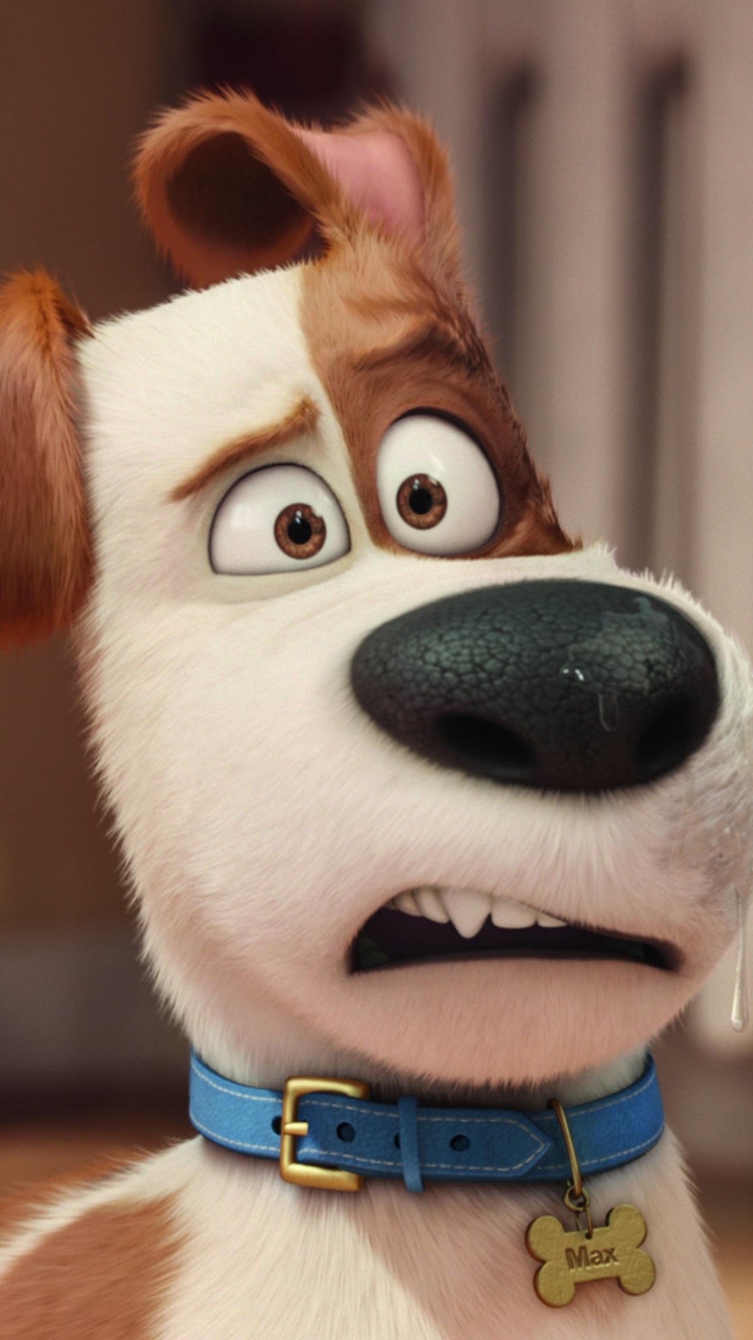 free The Secret Life of Pets for iphone download