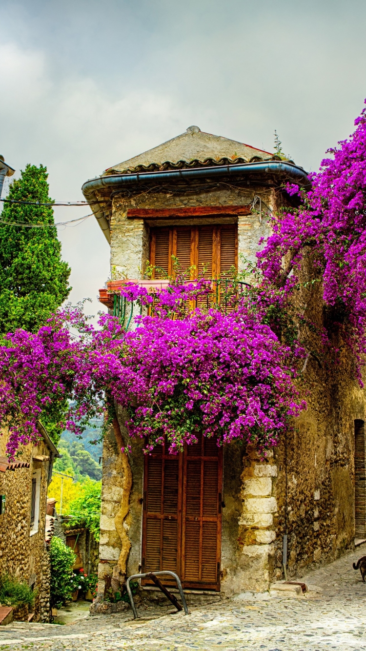 Les Baux-de-Provence wallpaper - World wallpapers - #36730