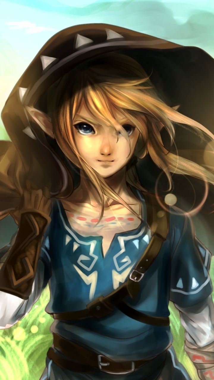 Link Zelda wallpaper by toxictidus - Download on ZEDGE™