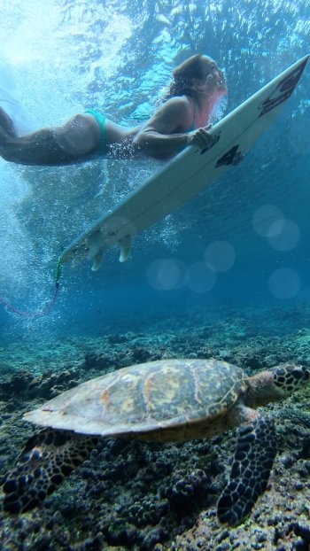 underwater turtle surfing Sports Phone Wallpaper