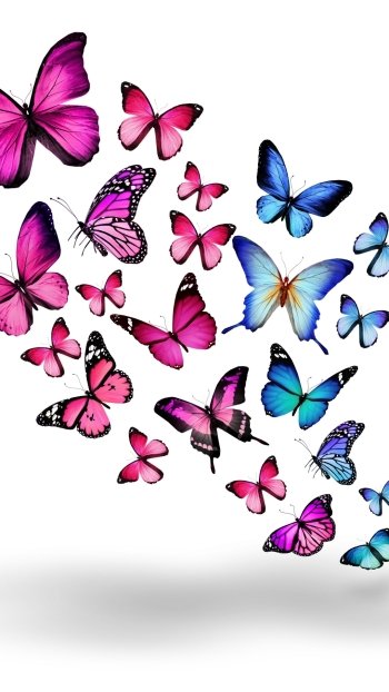  Purple and Blue Butterflies