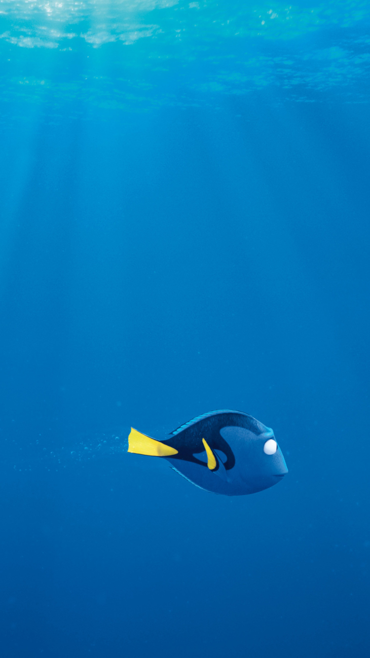 Finding Dory Phone Wallpaper