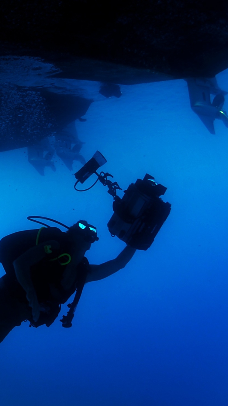A diving photographer with underwater camera by 12019
