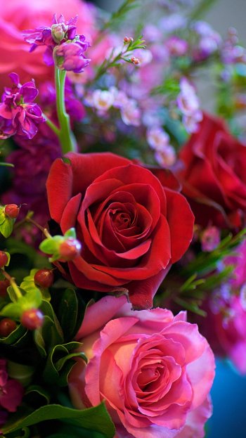  Rose Bouquet