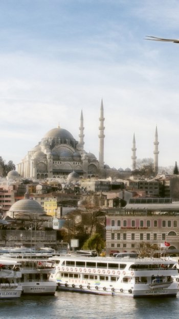  View of the City with Suleymanie Cami in Istanbul by vanilla_graph