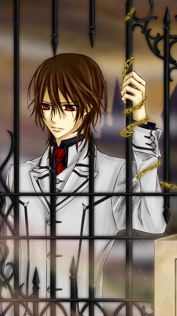 Anime Vampire Knight