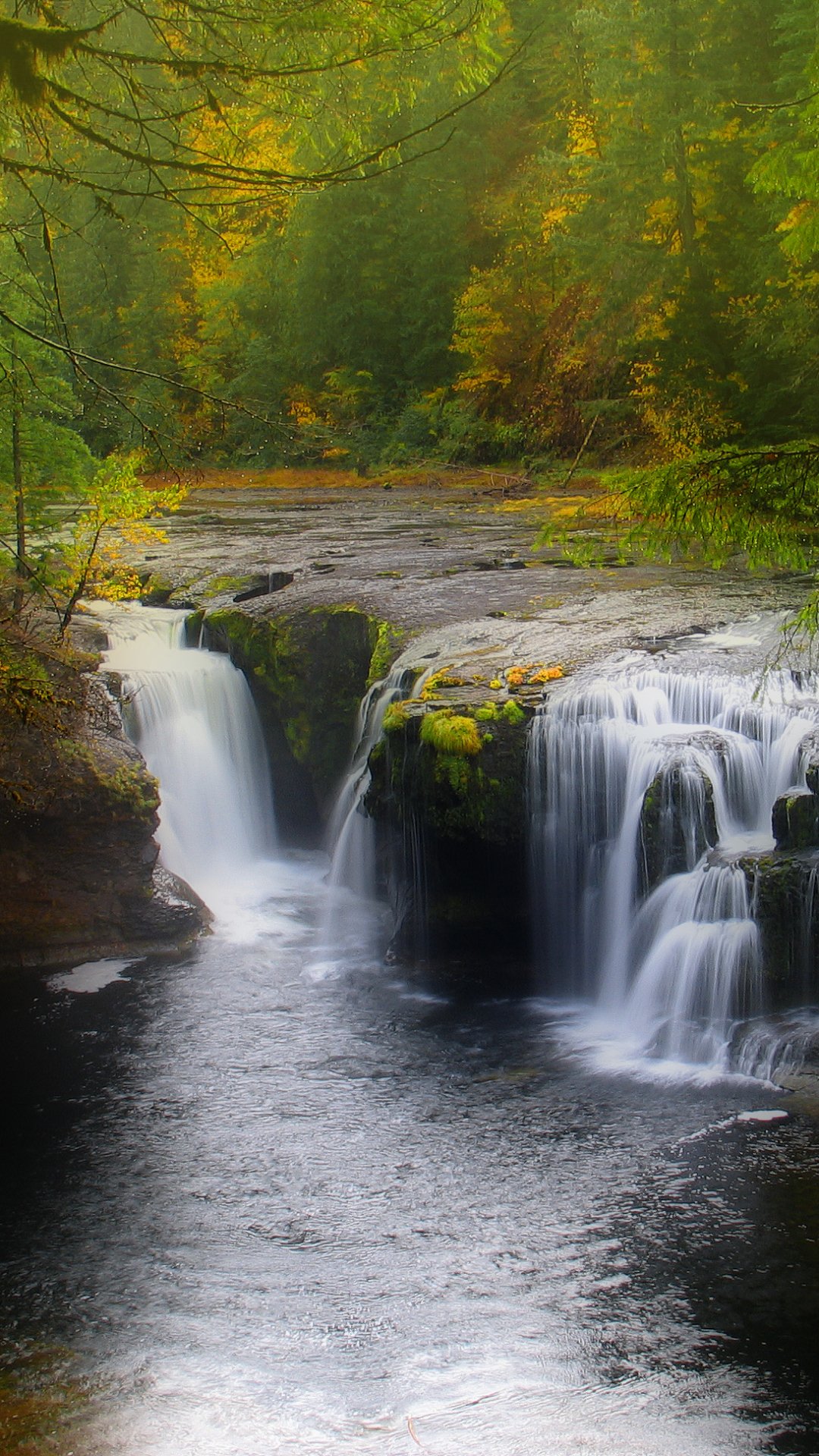 Download Green Tree Forest Earth Nature Waterfall Phone Wallpaper ...