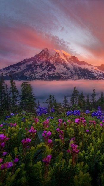  Tahoma the Great by Marc Adamus