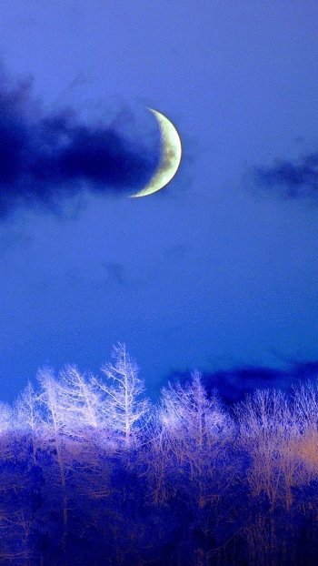  Crescent Moon on Winter Night