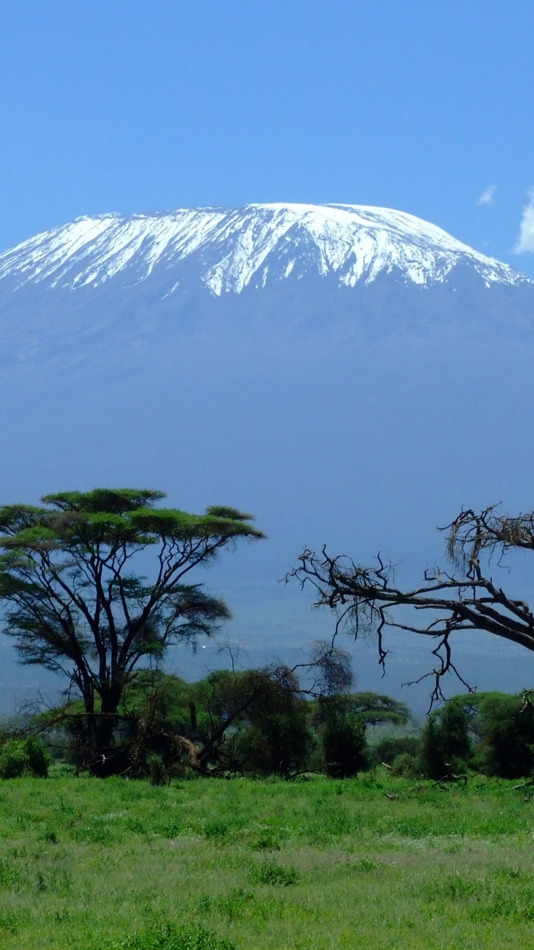 Mount Kilimanjaro  is a dormant volcano in Tanzania Africa by GregMontani