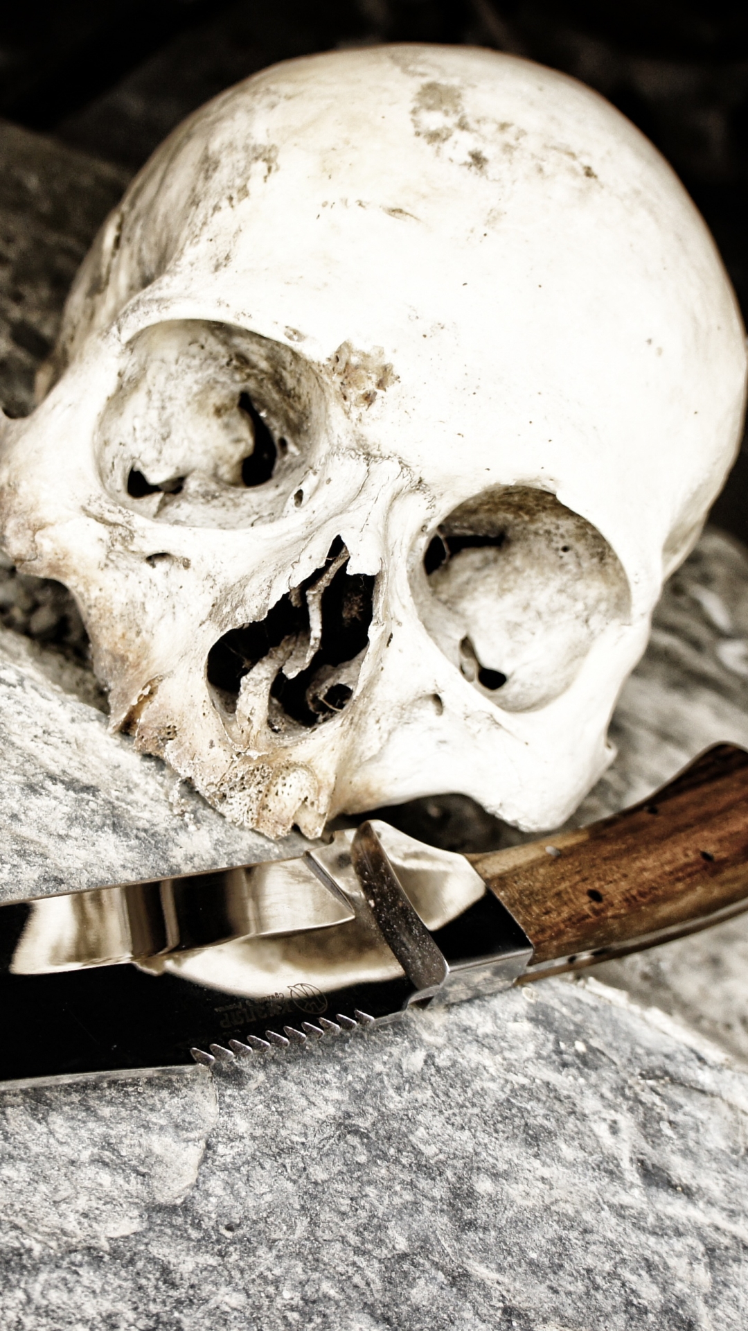 Old skull and knife in a cave by Amort1939